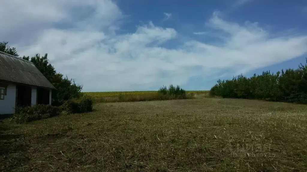 Дом в Курская область, Курский район, Лебяженский сельсовет, д. 2-е ... - Фото 0