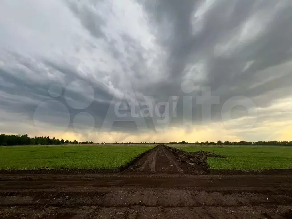 Участок 8 сот. (ИЖС) - Фото 0