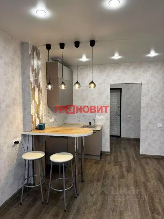 Студия Новосибирская область, Новосибирск Светлановская ул., 52 (28.0 ... - Фото 1