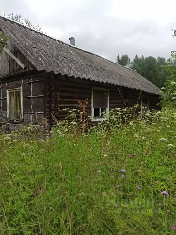 Участок в Псковская область, Новоржевский муниципальный округ, д. ... - Фото 1
