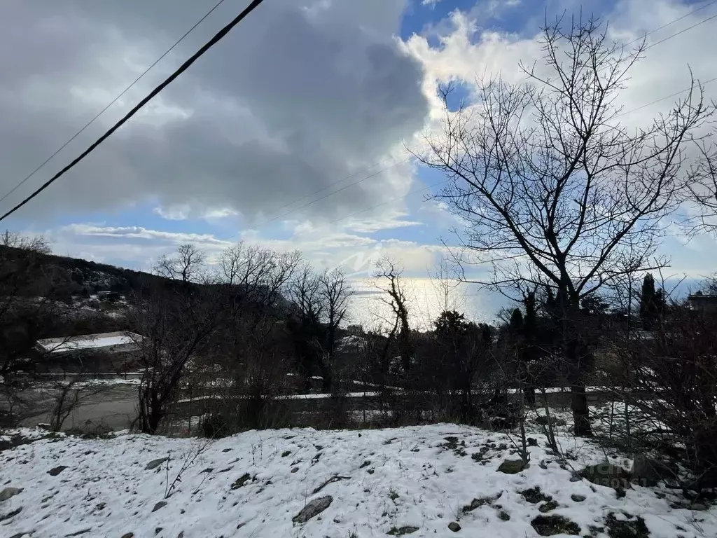 Участок в Крым, Ялта муниципальный округ, Голубой Залив пгт ул. ... - Фото 1