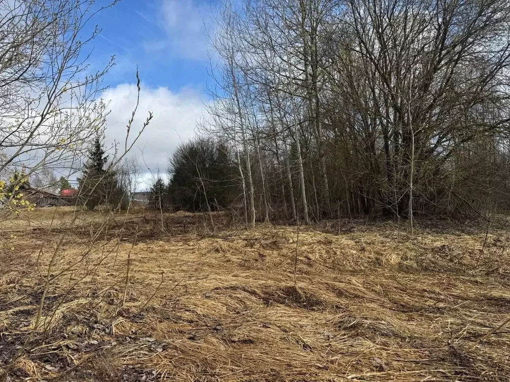 Участок в Московская область, Богородский городской округ, д. Ново 63А ... - Фото 2