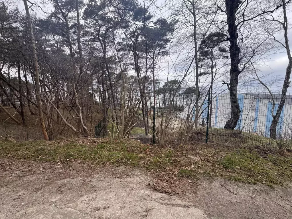 Участок в Калининградская область, Светлогорск Балтийская ул., 25А ... - Фото 2