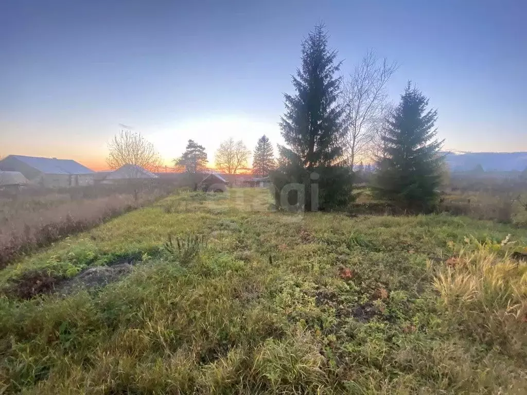 Участок в Вологодская область, Череповецкий район, д. Хлебаево ... - Фото 1