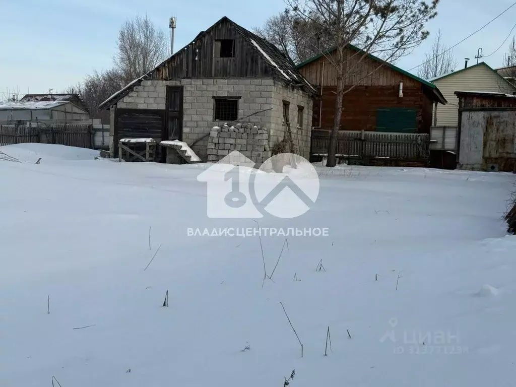 Участок в Новосибирская область, Новосибирск Ложок садовое ... - Фото 1