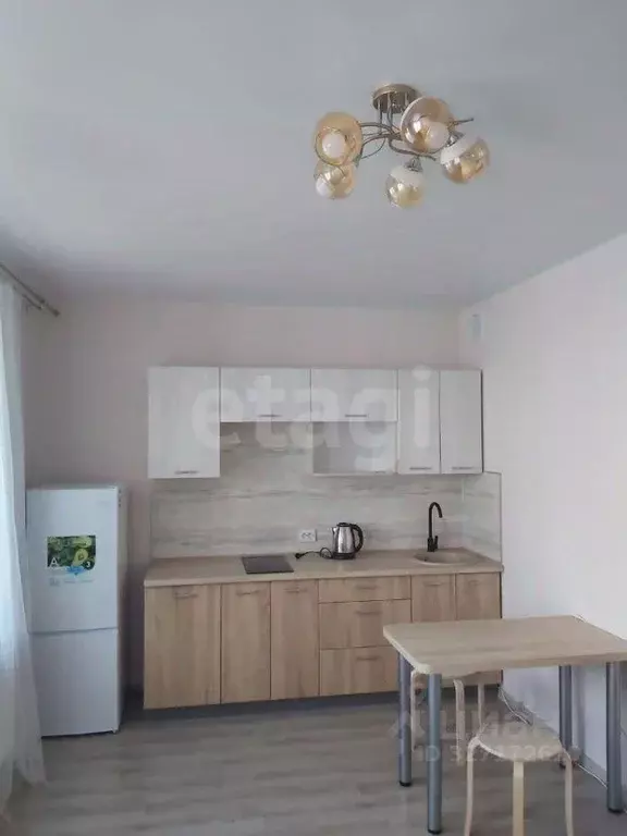 Студия Новосибирская область, Новосибирск ул. Бородина, 56 (30.0 м) - Фото 1