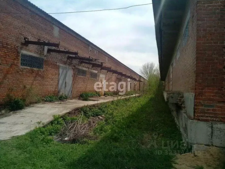 Склад в Ростовская область, Егорлыкская ст-ца пер. Чапаева, 146 (255 ... - Фото 2