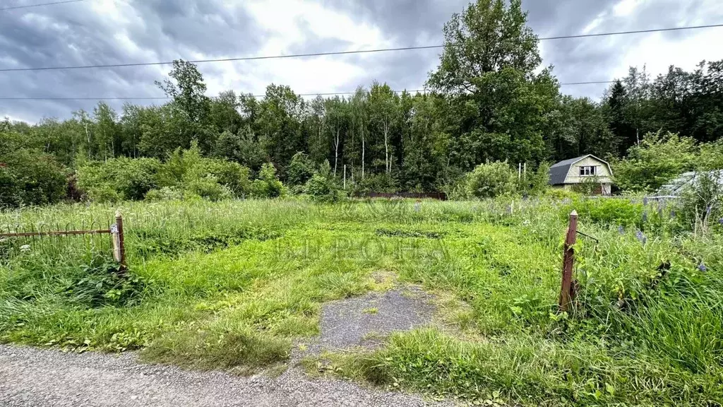 Участок в Московская область, Электросталь Пламя СНТ, 37 (6.0 сот.) - Фото 1