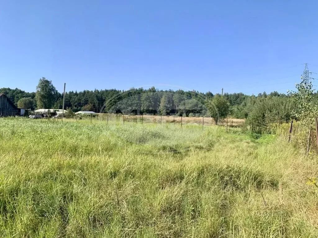 Участок в Калининградская область, Светловский городской округ, пос. ... - Фото 0