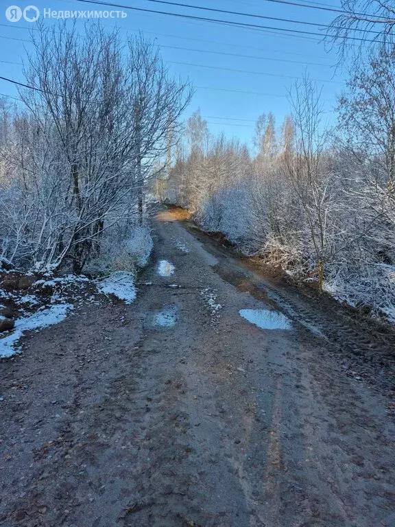 Участок в Выборгский район, Первомайское сельское поселение, СНТ ... - Фото 1