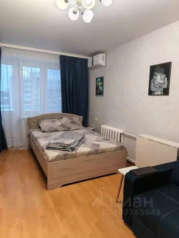 1-к кв. Мордовия, Саранск ул. Титова, 142 (29.0 м) - Фото 2