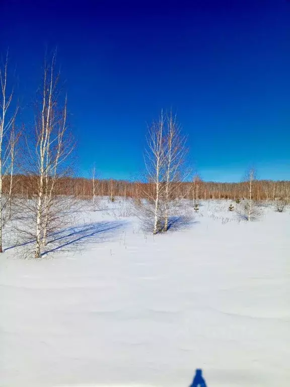 Участок в Челябинская область, Копейск Птицевод-2 СНТ,  (12.0 сот.) - Фото 0