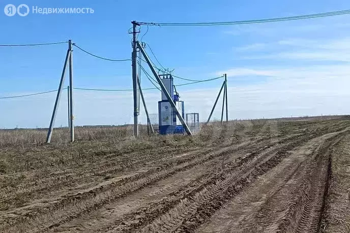 Участок в Тюменский муниципальный округ, Червишевское муниципальное ... - Фото 2