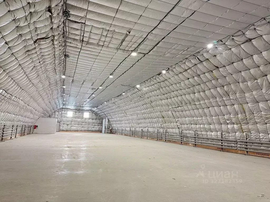 Склад в Новосибирская область, Новосибирск Выборная ул., 201к7 (1090 ... - Фото 2