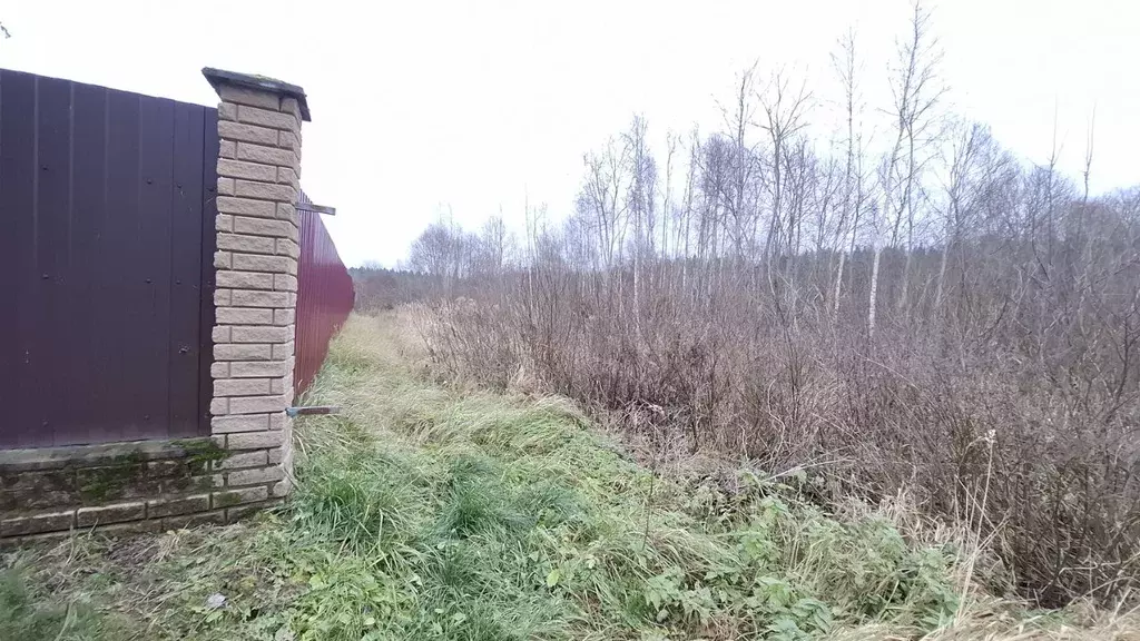 Участок в Смоленская область, Смоленский муниципальный округ, д. ... - Фото 2