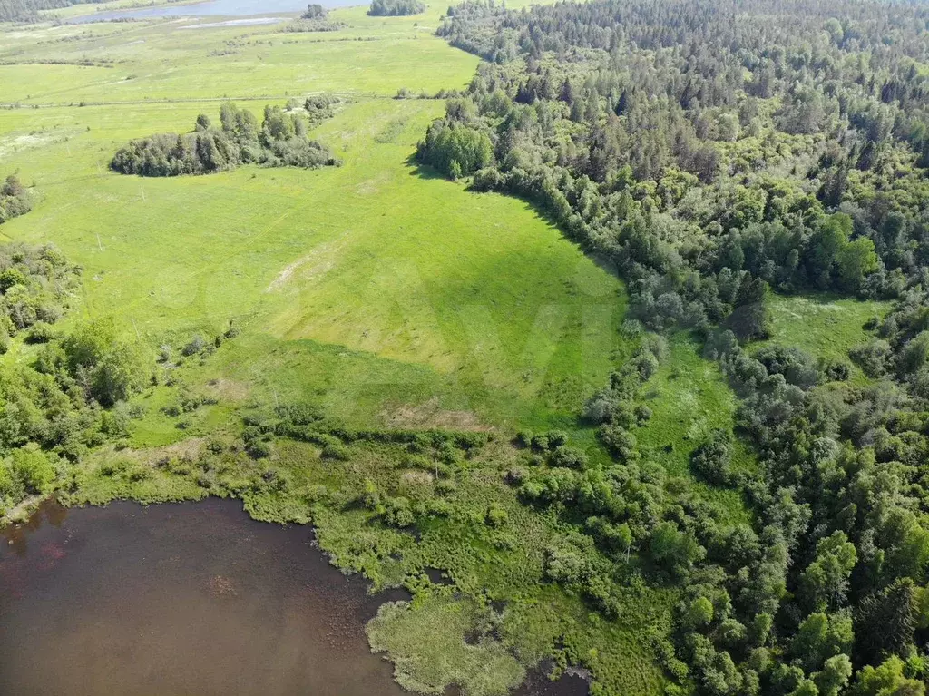 Участок 3 га (СНТ, ДНП) - Фото 1