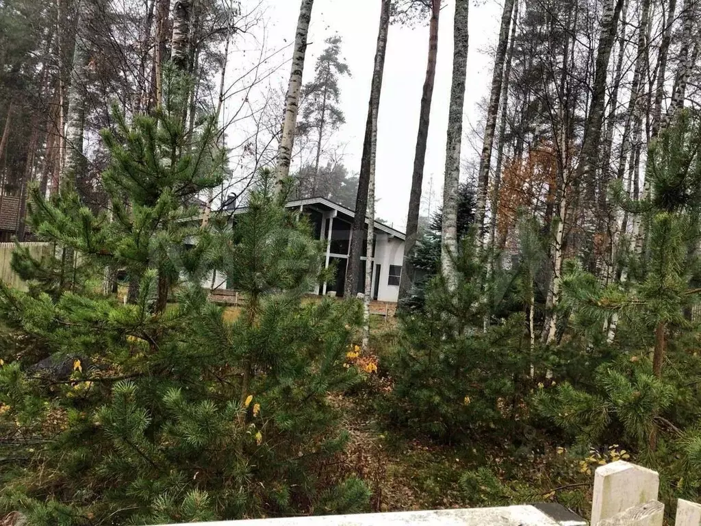 Участок в Ленинградская область, Выборгский район, Полянское с/пос, ... - Фото 2