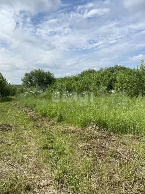 Участок 14,5 сот. (СНТ, ДНП) - Фото 1