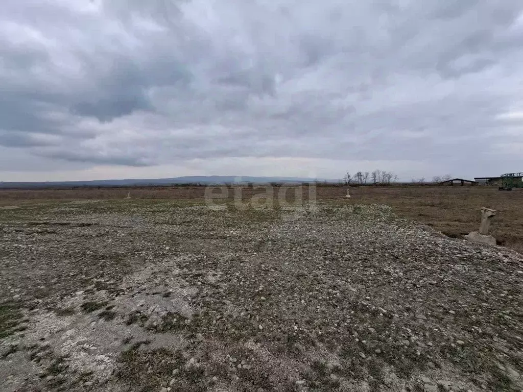 Участок в Ингушетия, Малгобекский район, с. Нижние Ачалуки ул. Т.Х. ... - Фото 2