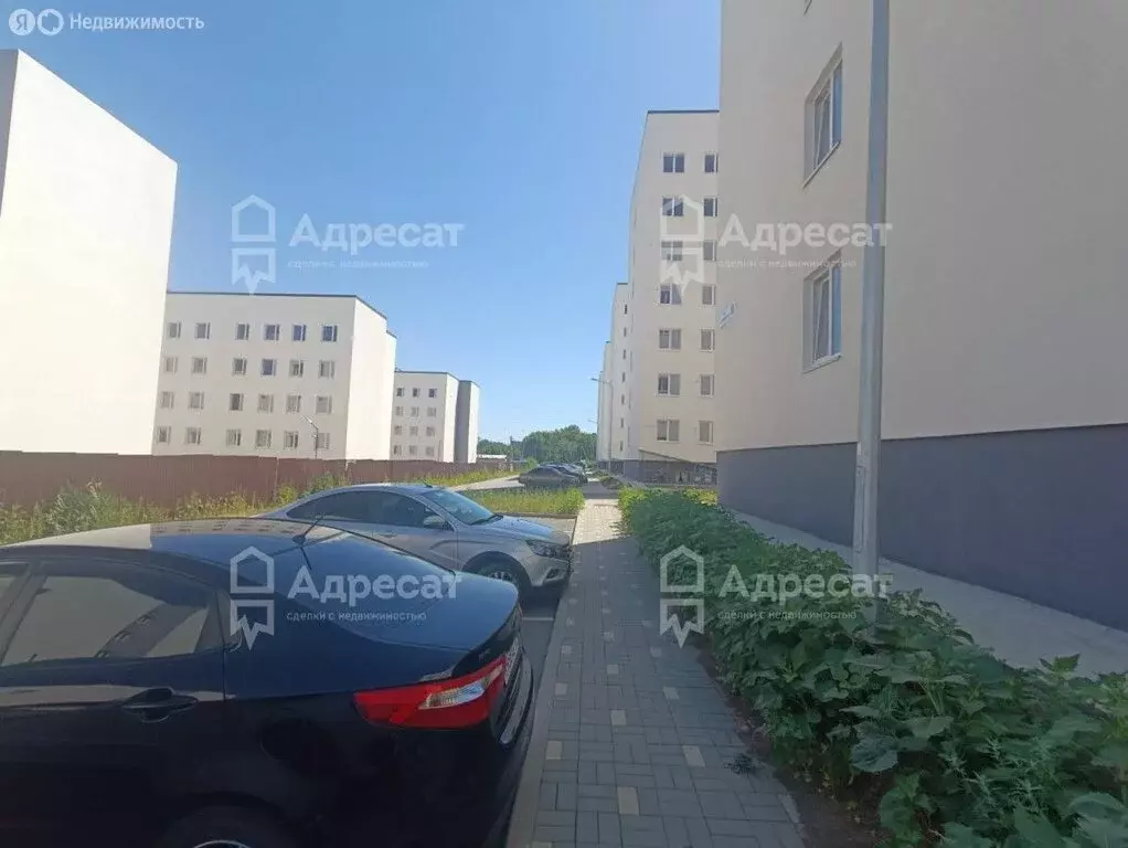 1-комнатная квартира: Волгоград, улица Ломоносова, 85 (21.5 м) - Фото 0