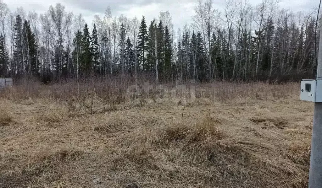 Участок в Тюменская область, Тюменский муниципальный округ, д. ... - Фото 1