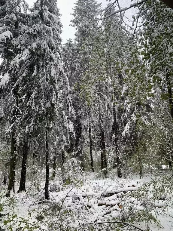 Дом в Московская область, Мытищи городской округ, пос. Трудовая ул. ... - Фото 2