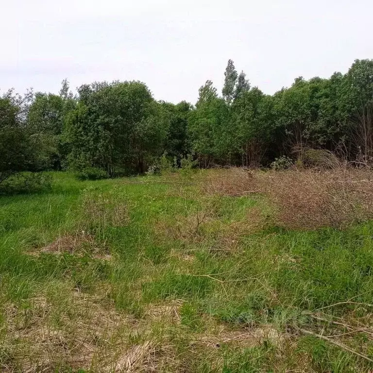 Участок в Тверская область, Калининский муниципальный округ, пос. ... - Фото 1