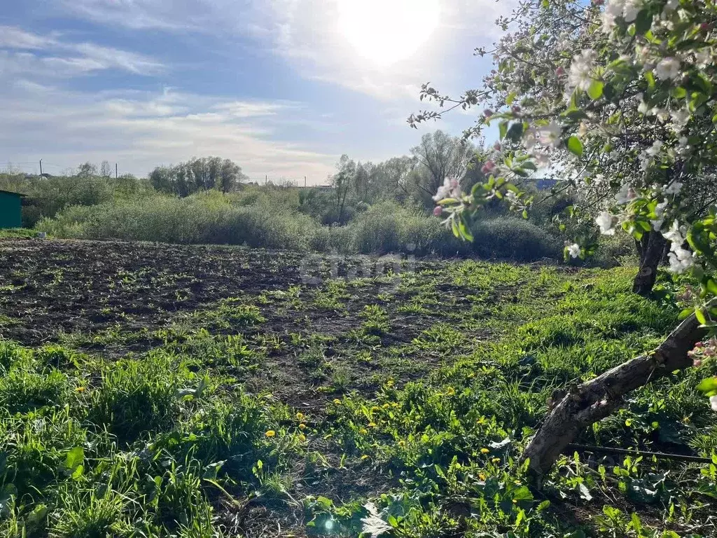 Участок в Башкортостан, Уфа городской округ, с. Нагаево ул. Луговая, ... - Фото 2