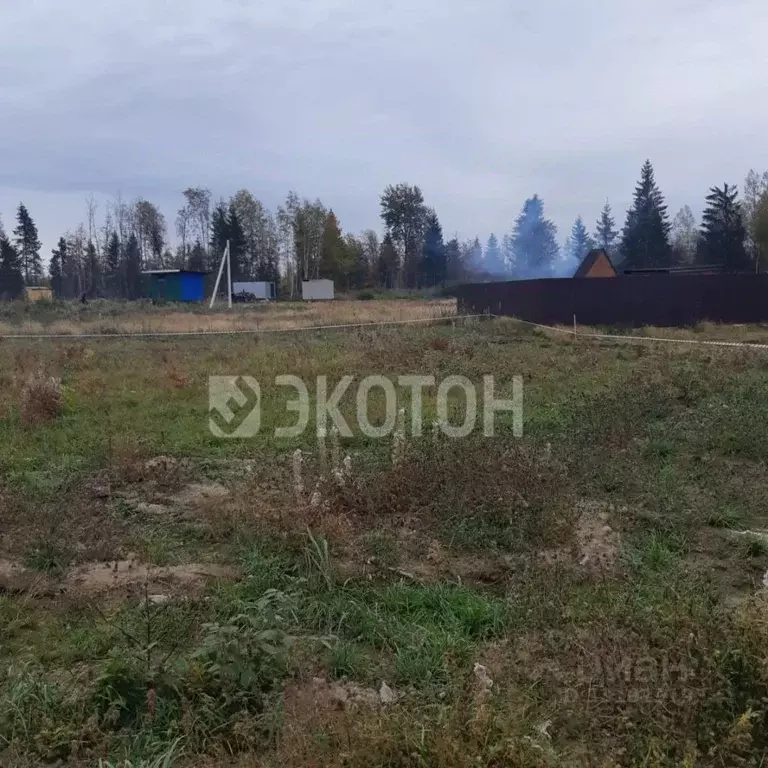 Участок в Ленинградская область, Всеволожский район, Агалатовское ... - Фото 1