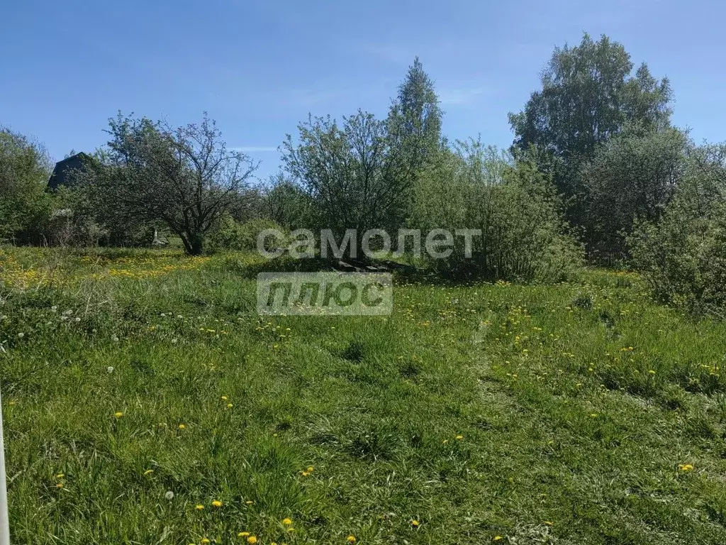 Участок в Вологодская область, Вологда Чайка садоводческое ... - Фото 1
