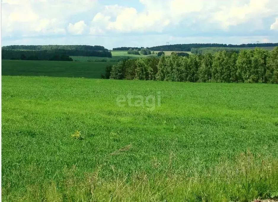 Участок в Свердловская область, Заречный  (600.0 сот.) - Фото 1