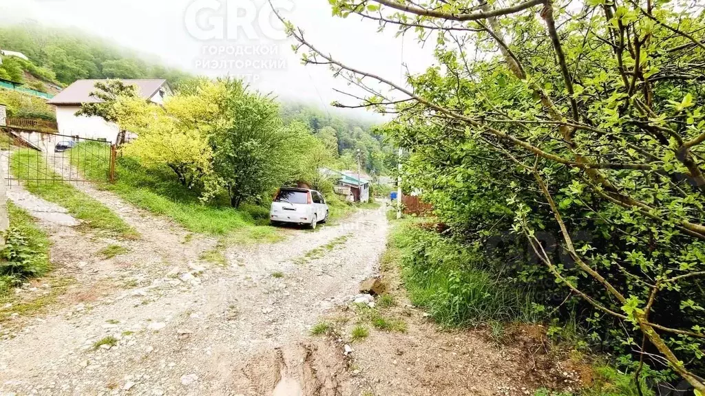 Участок в Краснодарский край, Сочи городской округ, с. Хлебороб ул. ... - Фото 1