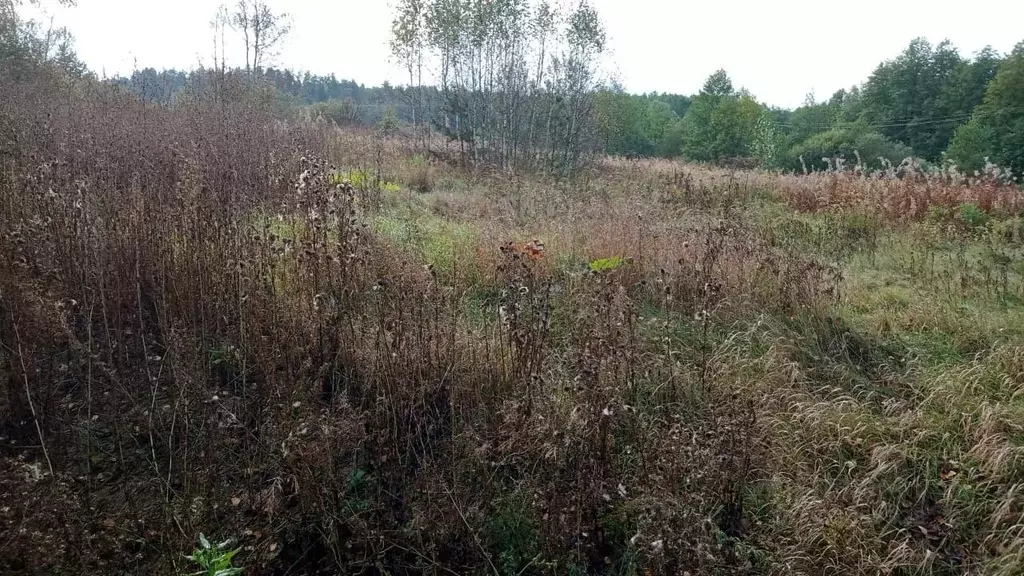 Участок в Московская область, Егорьевск муниципальный округ, д. ... - Фото 1