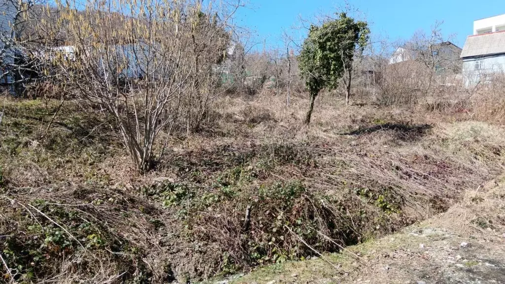 Участок в Краснодарский край, Сочи городской округ, с. Казачий Брод, ... - Фото 1