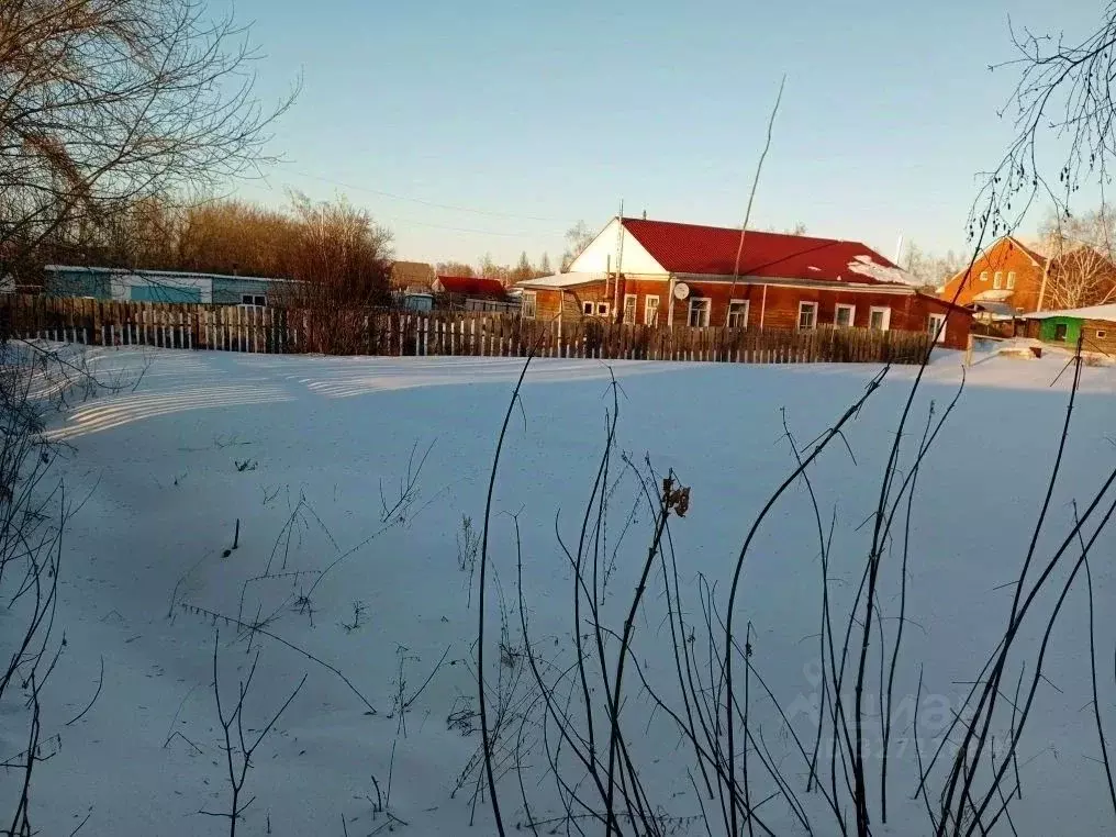 Участок в Омская область, Омский район муниципальный округ, с. ... - Фото 2
