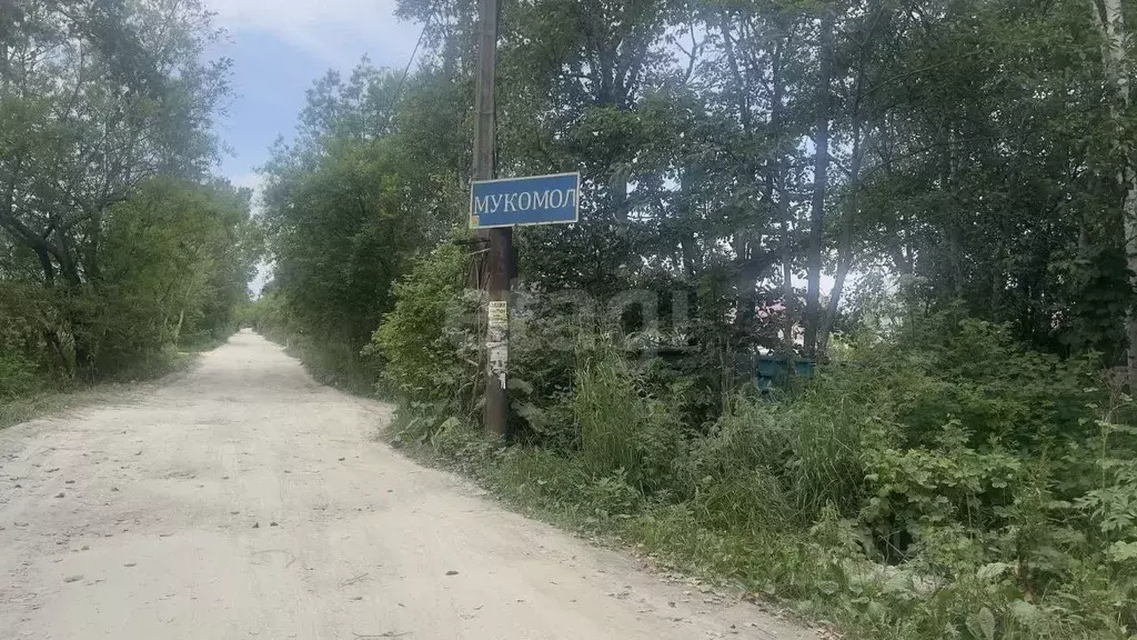 Участок в Сахалинская область, Южно-Сахалинск Мукомол СНТ, 96 (592.0 ... - Фото 1