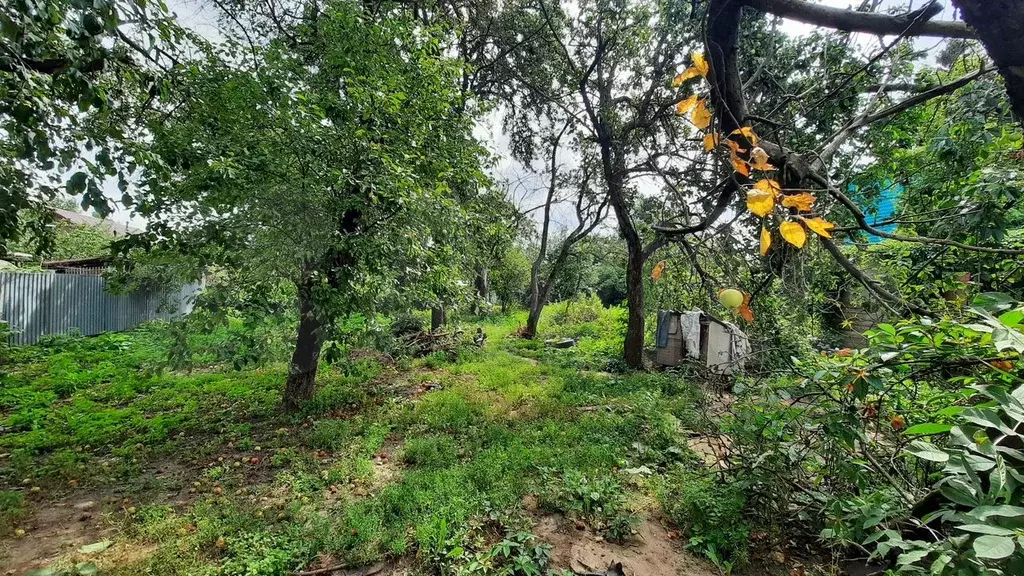 Участок 6 сот. (СНТ, ДНП) - Фото 0