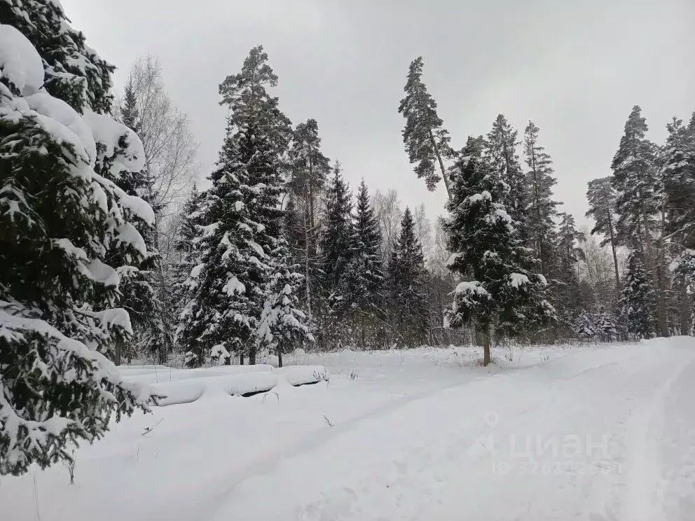 Участок в Московская область, Щелково городской округ, Борисовка кп  ... - Фото 1