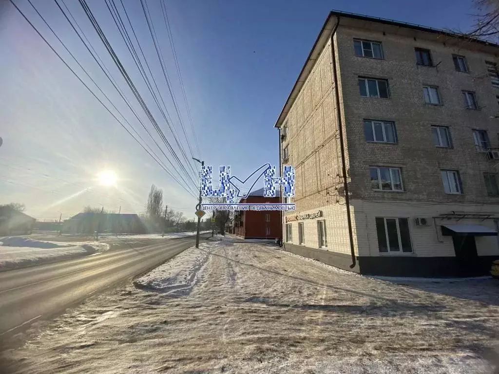 1-к кв. Курская область, Курск Литовская ул., 85к2 (15.1 м) - Фото 1