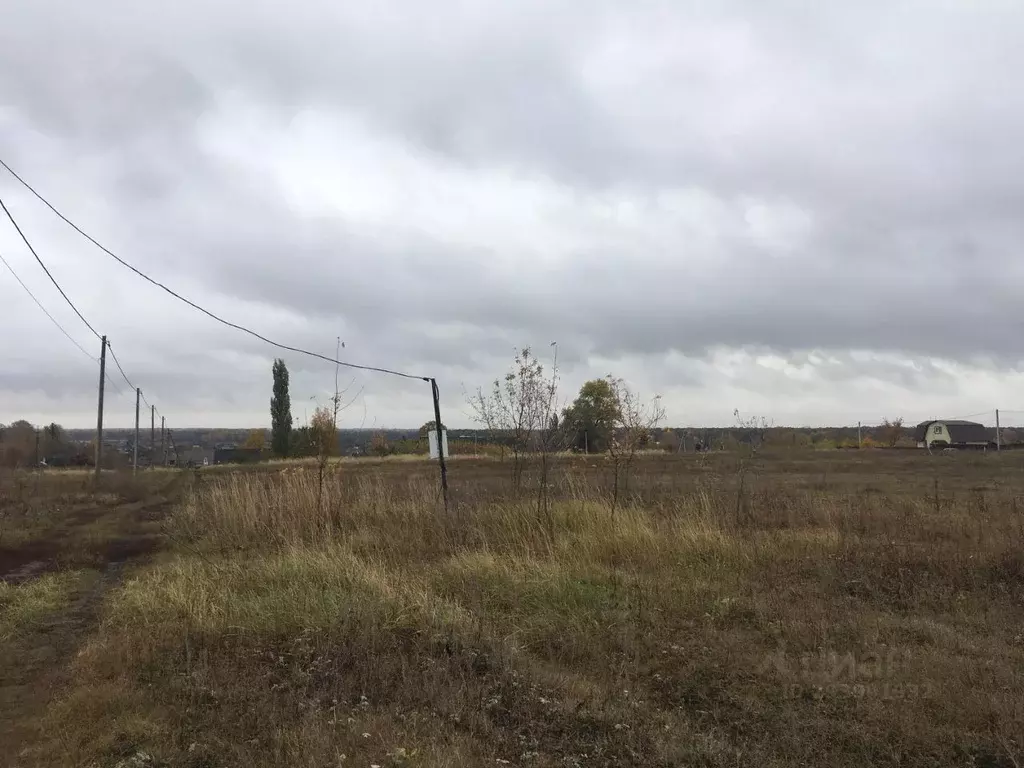 Участок в Тамбовская область, Мичуринский муниципальный округ, с. ... - Фото 1