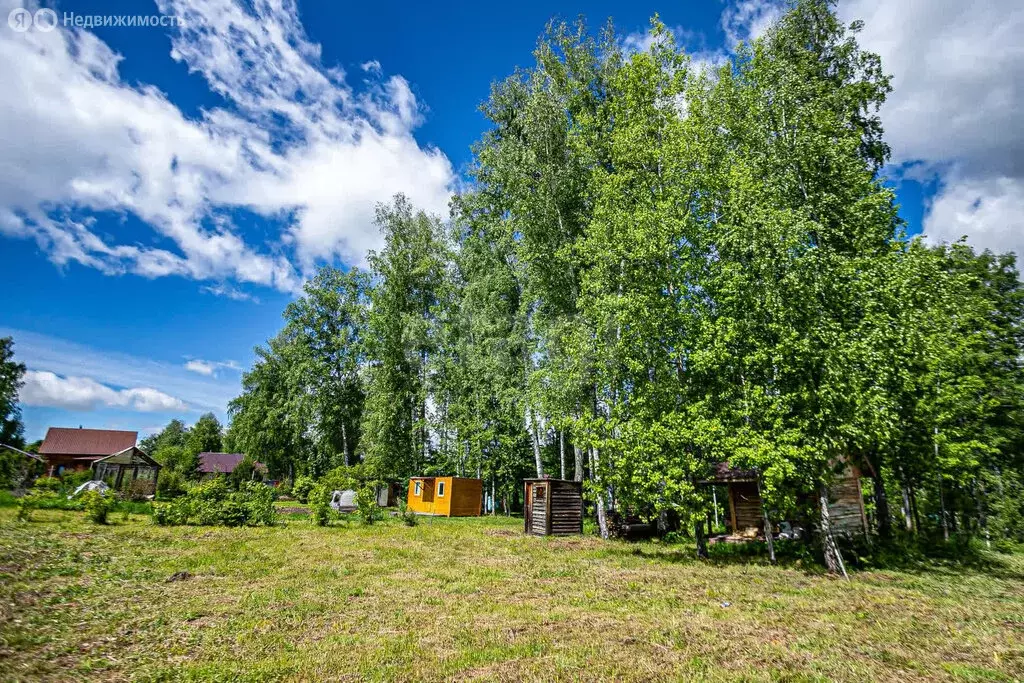 Участок в Барышевский сельсовет, садоводческое некоммерческое ... - Фото 1