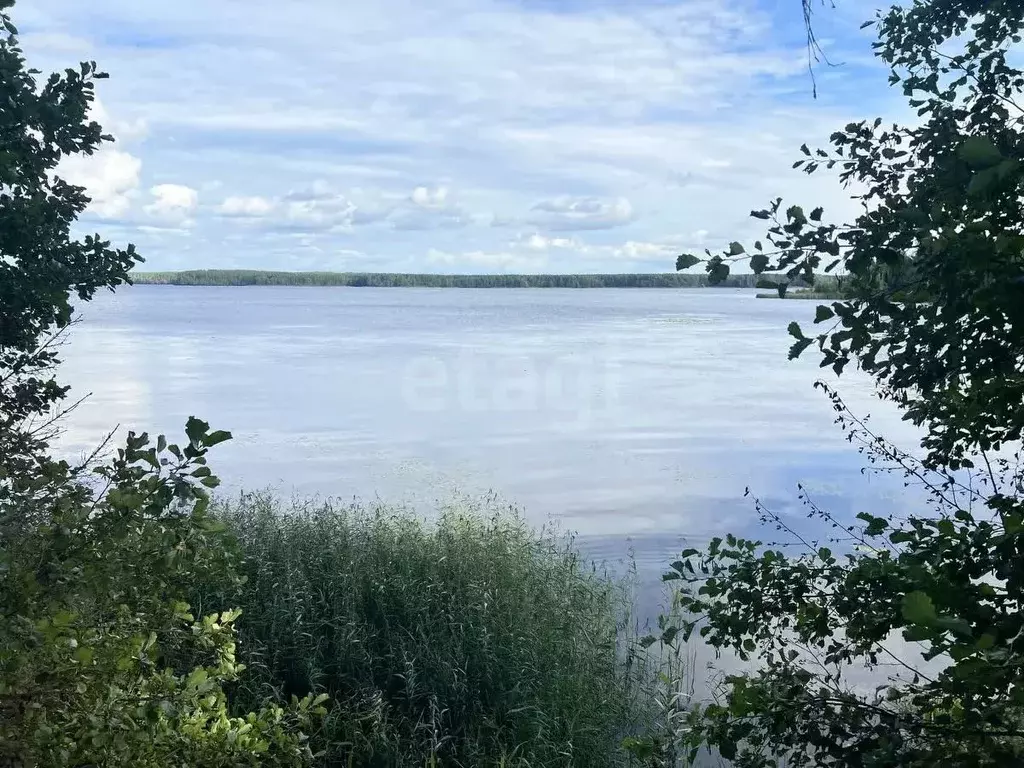 Участок в Костромская область, Кадыйский муниципальный округ, д. ... - Фото 1