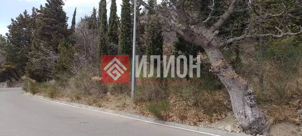 Участок в Крым, Ялта городской округ, Береговое пгт ул. Кипарисная, ... - Фото 1