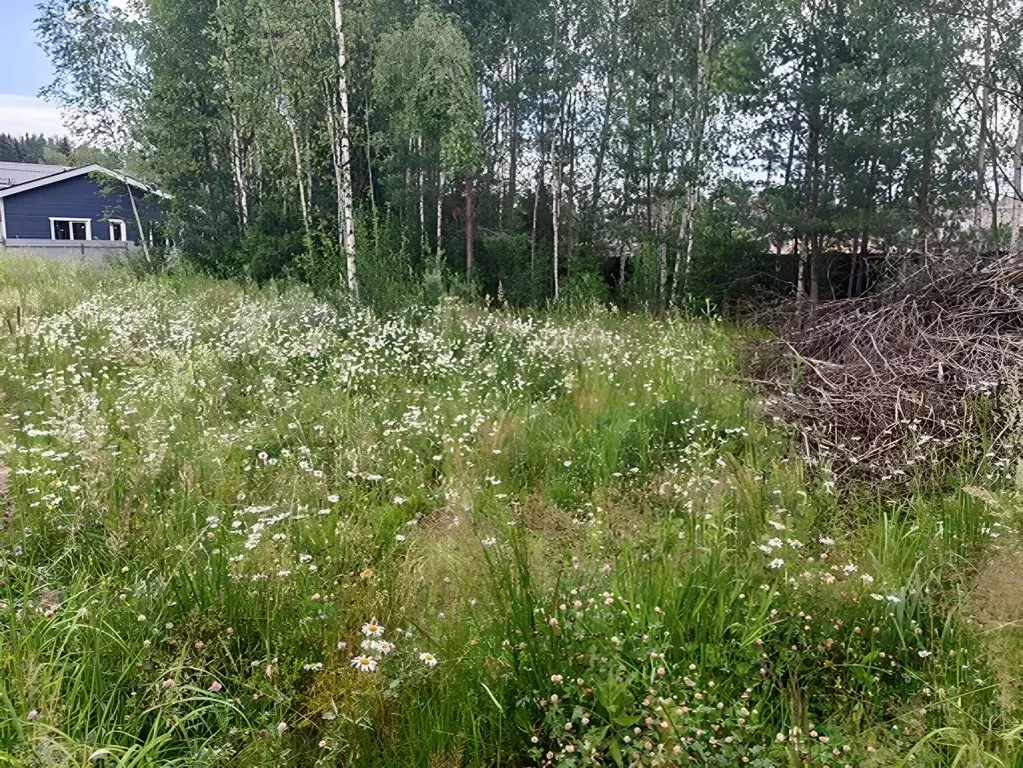 Участок в Московская область, Химки городской округ, с. Жилино, Дачной ... - Фото 1