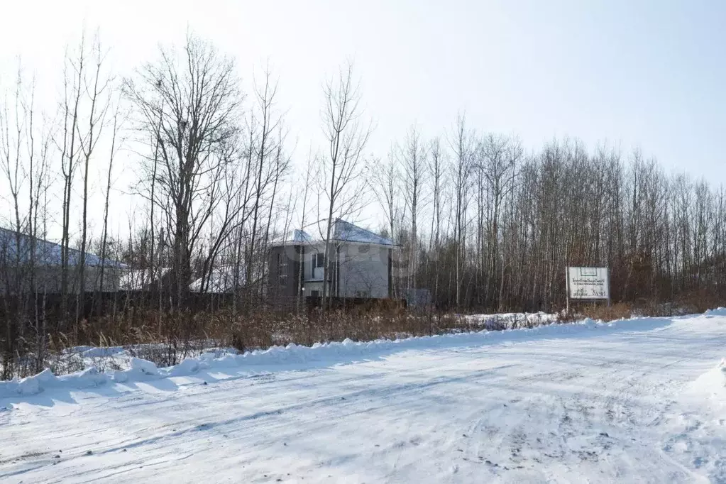 Участок в Хабаровский край, Хабаровский район, Тополевское с/пос, с. ... - Фото 1