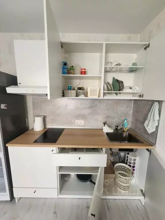 Студия Санкт-Петербург просп. Королева, 62 (24.3 м) - Фото 0