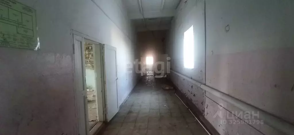 Торговая площадь в Пермский край, Ординский район, с. Орда Трактовая ... - Фото 2