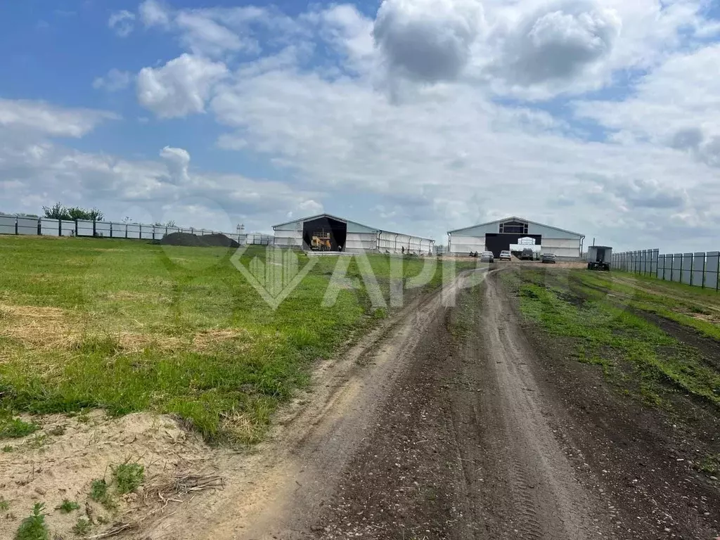Свободного назначения, 2446 м, зем.участок 1.2 га - Фото 0