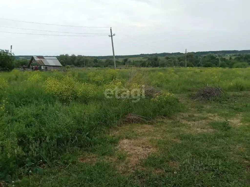 Участок в Башкортостан, Иглинский район, Ивано-Казанский сельсовет, д. ... - Фото 0