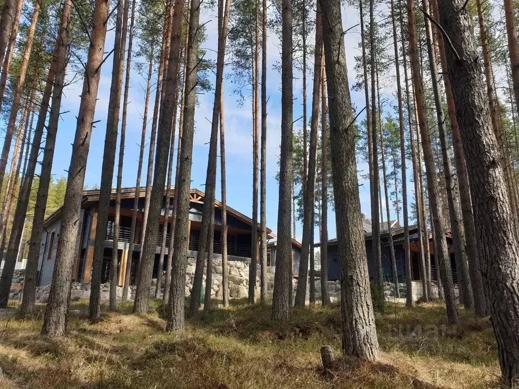 Дом в Карелия, Медвежьегорск ул. Калинина, 51 (20 м) - Фото 0